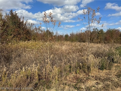 TBD Aes Rd, Spiro, OK 74959 - photo 3