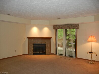 Fantastic great room with newer carpeting, gas FP,