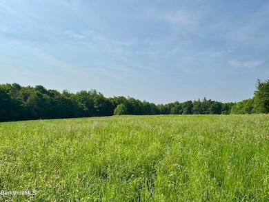 292 E Hawley Rd, Charlemont, MA 01339 - photo 3