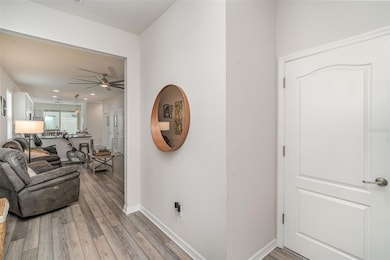 5217 Levana St, Palmetto, FL 34221 - photo 7