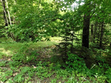 00 Oliver Hill Rd, Dover-Foxcroft, ME 04426 - photo 3