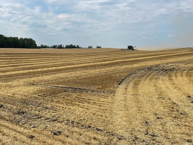 TBD 400th St, Erhards Grove Township, MN 56572 - photo 7