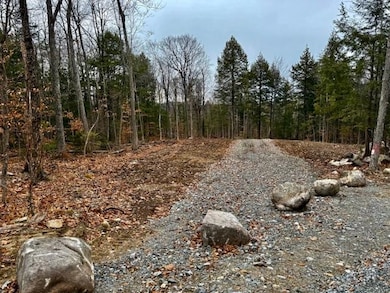 TBD Towle Hill Rd, Eaton, NH 03848 - photo 3
