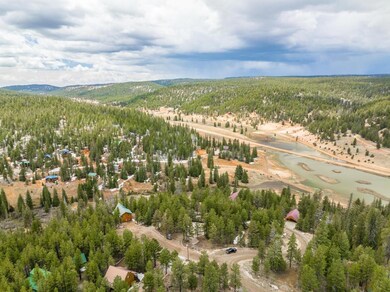 Drone view
