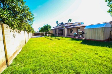 552 E Ivy St, Mesa, AZ 85203 - photo 6