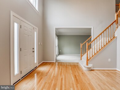 115 Sesar Ct, Winchester, VA 22602 - photo 6