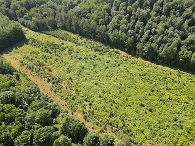 0 Brushy Rd unit RTC2923157, Centerville, TN 37033 - photo 6