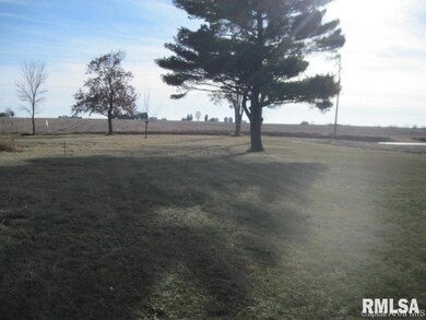 1694 245th Ave, Galesburg, IL 61401 - photo 7