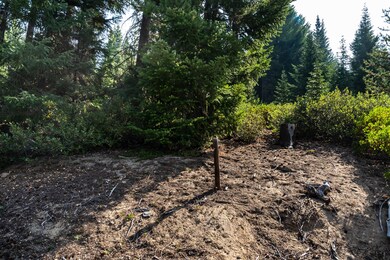 Crescent Lake Lot-10