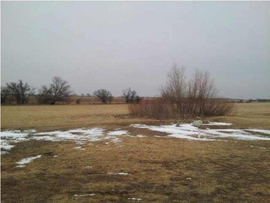 BACK YARD VIEW