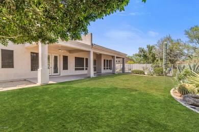 Large Grassy Yard