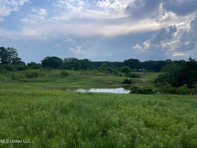 IMG_6166 2