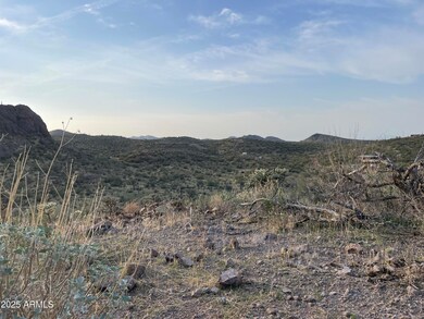 009 N Elephant Butte Rd unit J, Queen Valley, AZ 85118 - photo 6