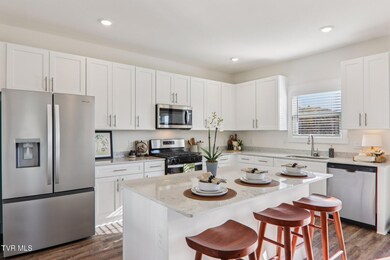 228 Chimney View Loop, Blountville, TN 37617 - photo 2