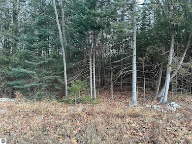 V/L Kingswood Ln, Oscoda Township, MI 48750 - photo 4