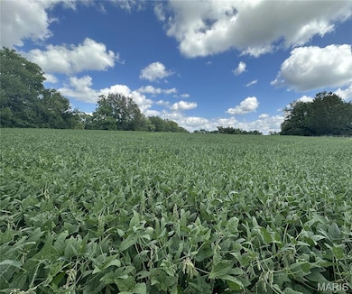 0 S 3rd St unit MAR23052580, Troy, MO 63379 - photo 5