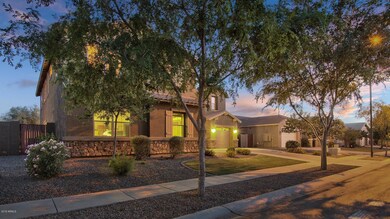 Scenic Tree Line Streets