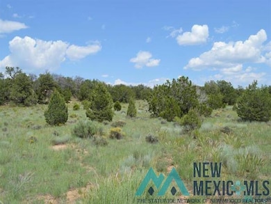 TBD Five Gate Rd, Candy Kitchen, NM 87357 - photo 6