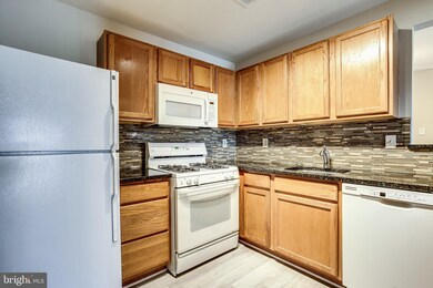 9141 Gracious End Ct, Columbia, MD 21046 - photo 4