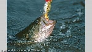 212 S Huntley Dr, Lake Placid, FL 33852 - photo 3