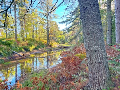 LOT 7 Third Creek Subdivision, Paradise, MI 49768 - photo 4