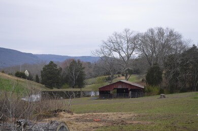 DSC_0020