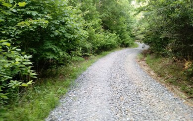Additional View