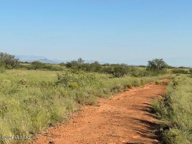 Road to the lots