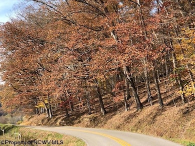 TBD Holly Meadows Rd, Parsons, WV 26287 - photo 7