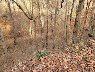 56B Holiday Haven Rd, Smithville, TN 37166 - photo 3