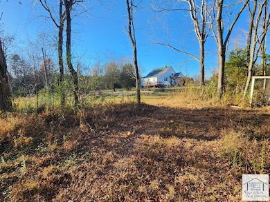 12570 Chatham Rd, Axton, VA 24054 - photo 4