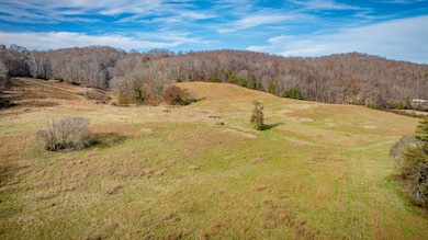 1520 Brittontown Rd, Afton, TN 37616 - photo 4
