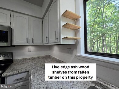 141 Idris Ln, Berkeley Springs, WV 25411 - photo 5