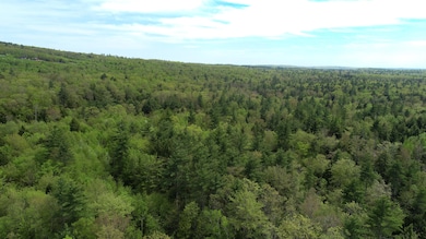 DJI_0335