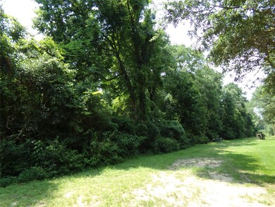 20719 New Kentucky Village, Hockley, TX 77447 - photo 5