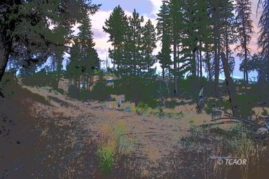 lower portion of property