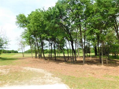 L 25 Clubhouse Dr, Corsicana, TX 75109 - photo 7