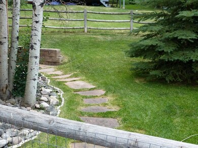 Fenced back yard for the puppies!