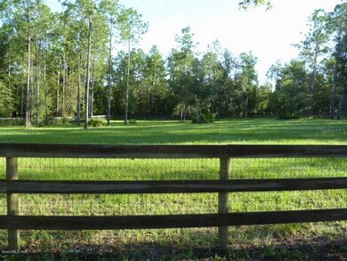 1651 SE 111th Ct, Morriston, FL 32668 - photo 4