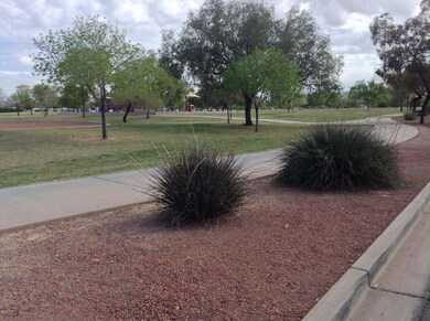 Park/Playground