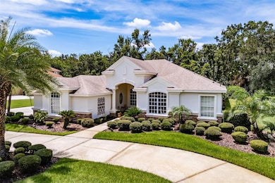 6031 Audubon Manor Blvd, Lithia, FL 33547 - photo 4