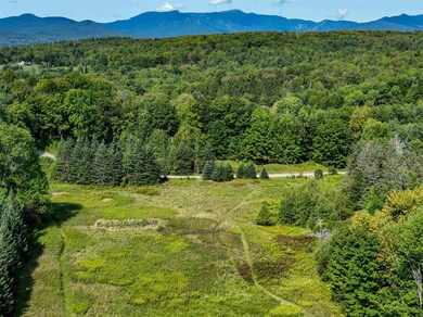 300 N Hollow Rd unit Lot 1, Stowe, VT 05672 - photo 2