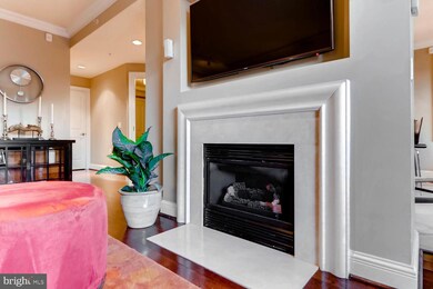 The Ritz-Carlton Residences, Baltimore, MD 21230 - photo 7