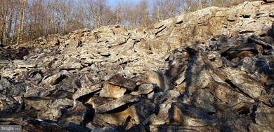 265 S Branch Mountain Rd, Moorefield, WV 26836 - photo 5