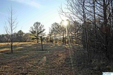 This is the property to the south