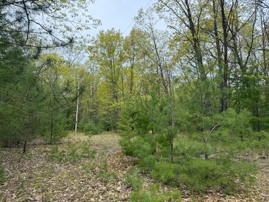 0 Critter Trail unit Parcel C, Filer Charter Township, MI 49660 - photo 2