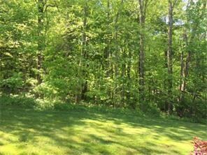 Acres of woodlands for hiking and enjoying nature!