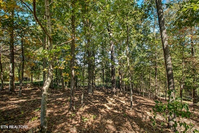 131 Kenosha Ln, Loudon, TN 37774 - photo 7