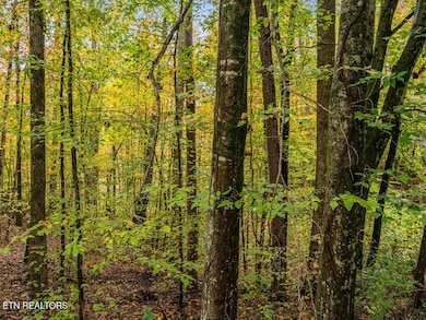 0 Mountie Ln, Knoxville, TN 37924 - photo 5