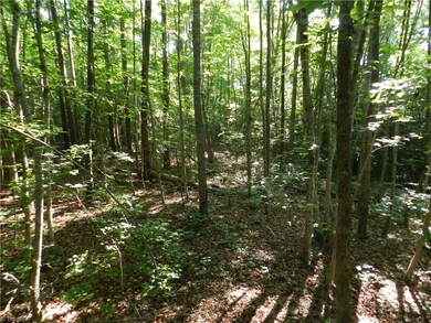 0 Bethel Lucas Rd, Asheboro, NC 27205 - photo 5